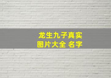 龙生九子真实图片大全 名字